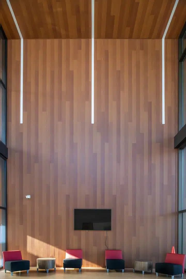 Harrywood PLUS image 4